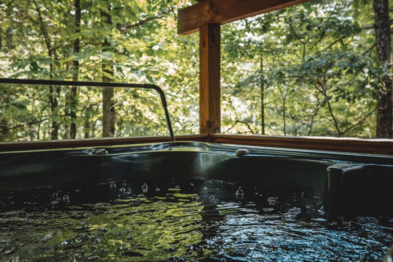Blueberry Hideaway At 36 North Cabin - Hot Tub Purlear Zewnętrze zdjęcie